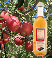 りんごの絵日記　720ml - 六花酒造の酒を通販 -